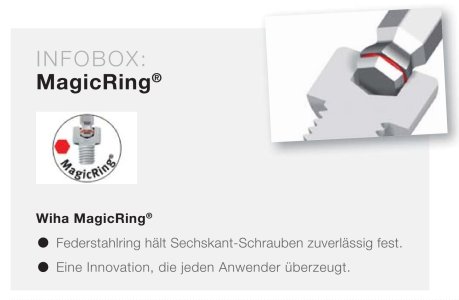 MagicRing_InfoBox2.jpg